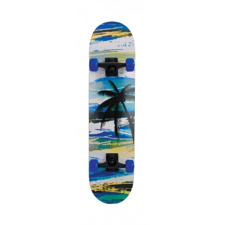Skate Slider 31'' Aloha